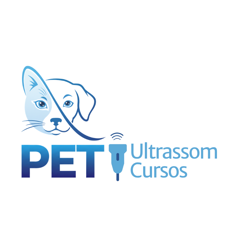 PET Ultrassom Cursos